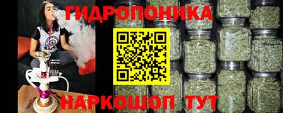 ECSTASY Обь