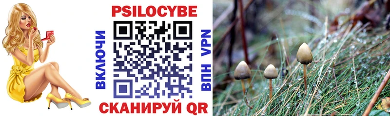 Галлюциногенные грибы MAGIC MUSHROOMS  даркнет какой сайт  Ярославль  mega рабочий сайт 