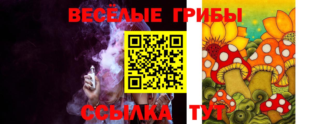 Псилоцибиновые грибы Psilocybine cubensis Ярославль