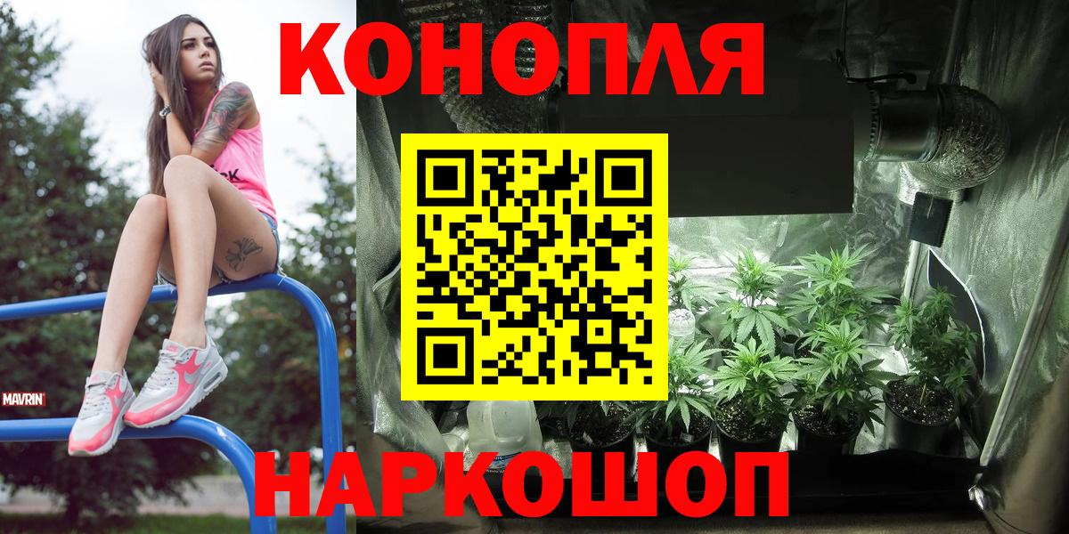 Бошки Шишки VHQ Ярославль